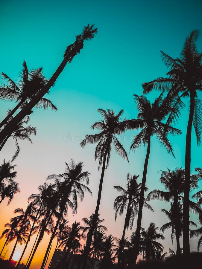 Teal и оранжевый блоггер ландшафта перемещения стоковое фото Teal и оранжевый блоггер ландшафта перемещения стоковое фото