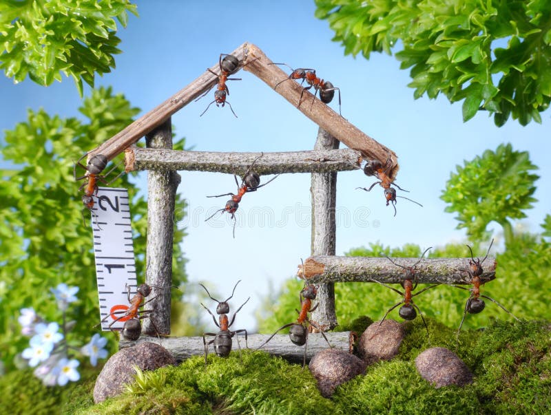 Tím mravce výstavba dreveného domu v lese, tímová práca, ant rozprávky.