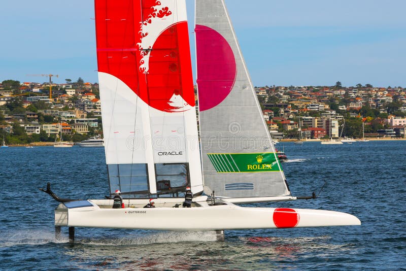 oracle racing sailboat