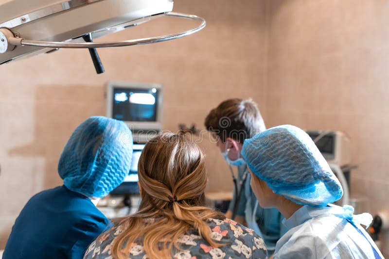 A Team of Pet Surgeons Monitors Sensors on Screens at the Time of