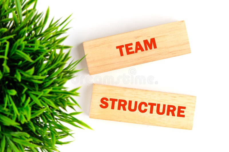 The TEAM STRUCTURE concept phrase. Onboarding business process concept stock image