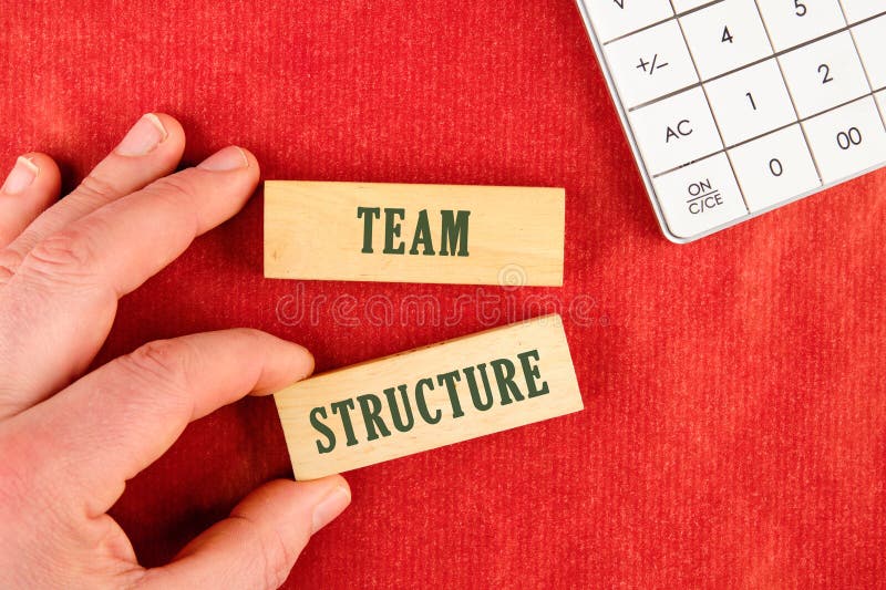The TEAM STRUCTURE concept phrase. Onboarding business process concept royalty free stock photography