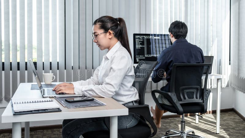 Team of two professional programmers working on website projects in software development on the desktop computer and making coding stock photos