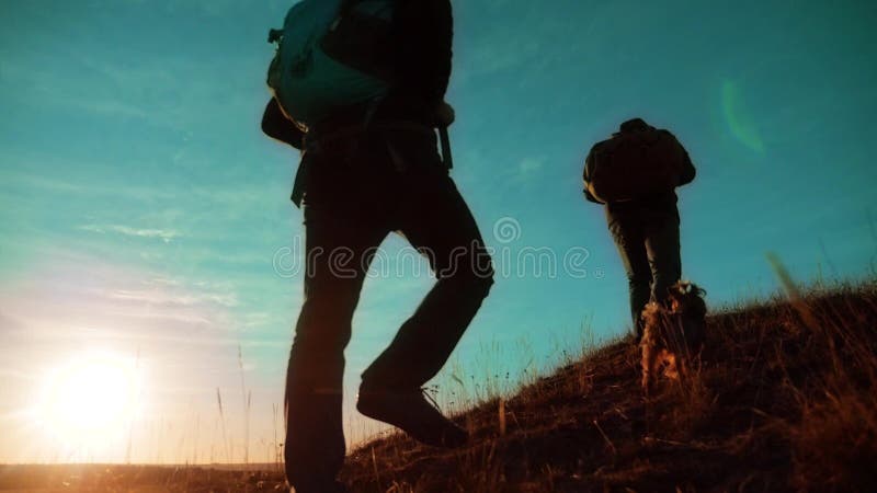 teamwork Zwei Wanderer, die den Sonnenaufgang geht von der Spitze eines Berges und des Hundes genießen Zeitlupevideo Zwei Wandere
