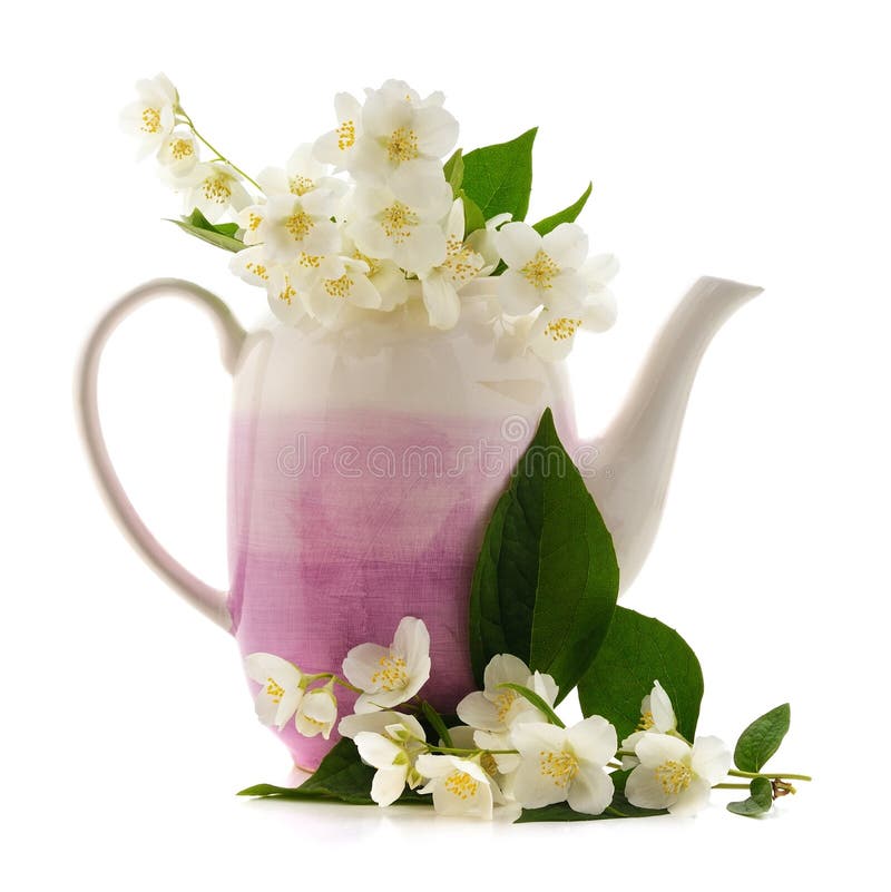 Teapot and cherry blossom stock photo. Image of dishes 195504678