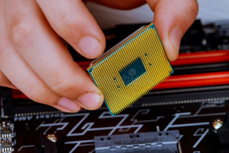 The technician is putting the CPU on the socket of the computer motherboard. the concept of computer hardware, repairing royalty free stock photo
