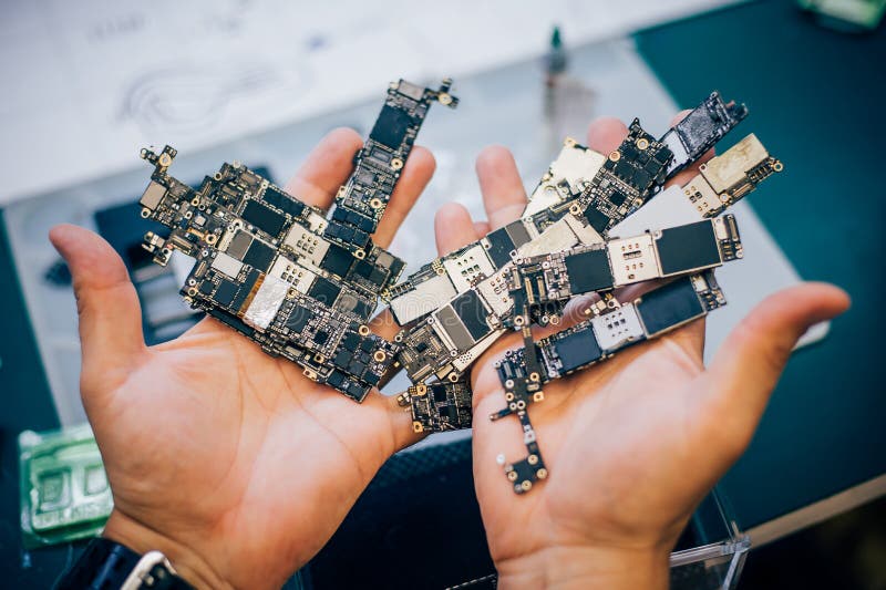 The Technician Shows the Motherboards of Mobile Phones Stock Image