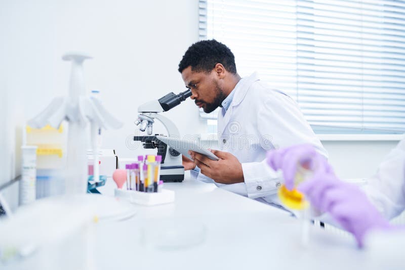 Concentrated handsome black male lab technician with beard sitting at table and using microscope while analyzing sample and working with data on tablet. Concentrated handsome black male lab technician with beard sitting at table and using microscope while analyzing sample and working with data on tablet