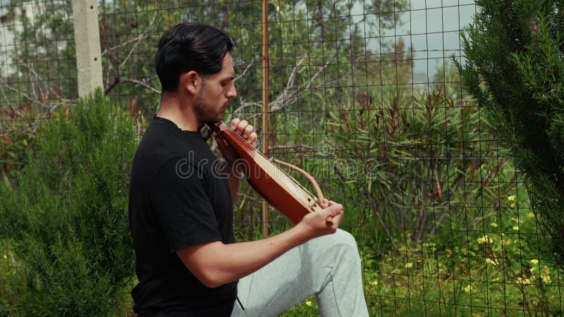 Technique And Ability Of A Professional Lyre Player stock video