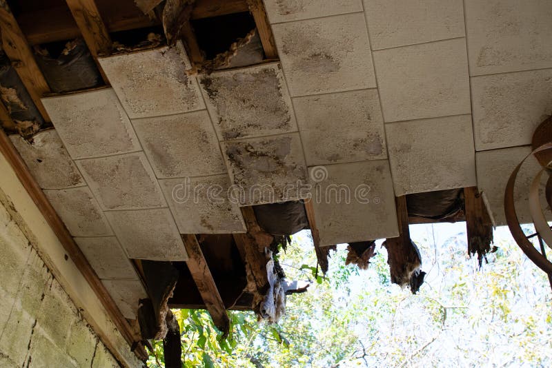 Techo derrumbado en el terreno de la escuela abandonado fotografía de archivo Techo derrumbado en el terreno de la escuela abandonado fotografía de archivo