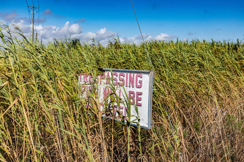 sign Trespassing fine will be executed in a field at the coast in Galveston, Texas, USA. sign Trespassing fine will be executed in a field at the coast in Galveston, Texas, USA