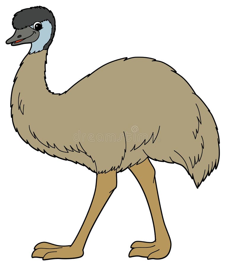 Tecknad filmdjur - emu - illustration för barnen vektor illustrationer Tecknad filmdjur - emu - illustration för barnen vektor illustrationer