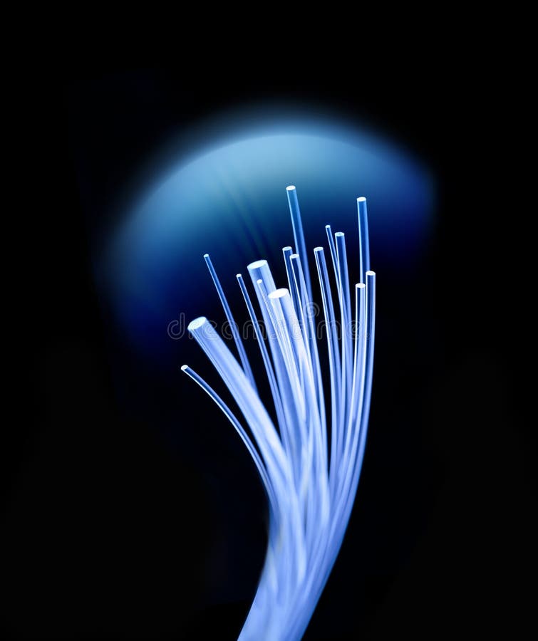Los Cables De Fibra óptica Están Conectados a Las Interfaces