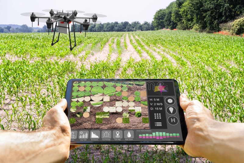 Tecnología moderna de agricultura inteligente en la granja fotos de archivo