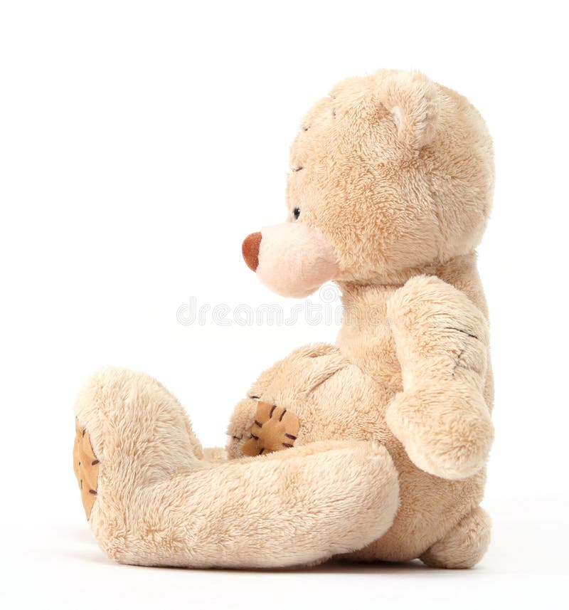 Teddy bear royalty free stock photography