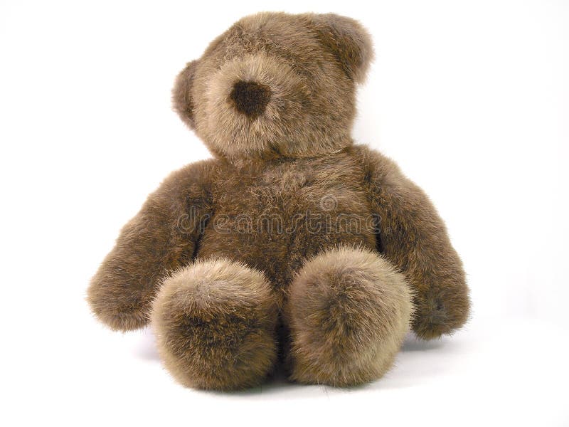 Teddy bear