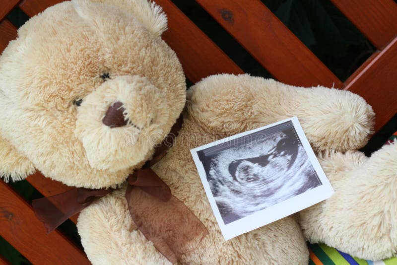 Teddy bear and baby ultrasound
