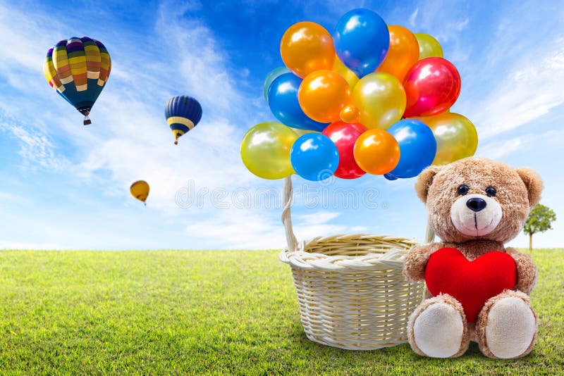 Teddy bear and balloon basket