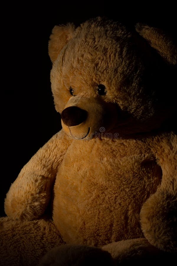 Teddy Bear in a Black Background Stock Photo - Image of shadow, bear:  174315006