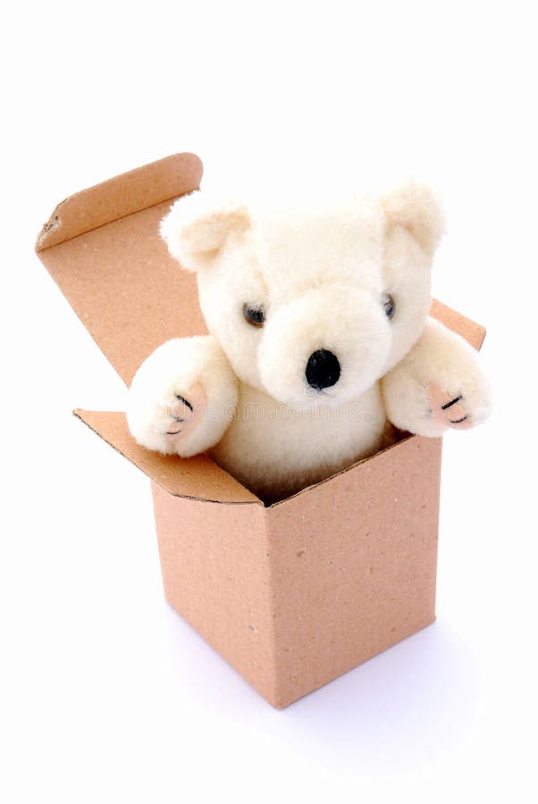 Teddy bear in box stock image. Image of look, copy, gifts - 8376247