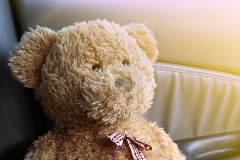 Teddy Bear Brown fecha-se acima da sensação só em meu carro fotografia de stock royalty free Teddy Bear Brown fecha-se acima da sensação só em meu carro fotografia de stock royalty free