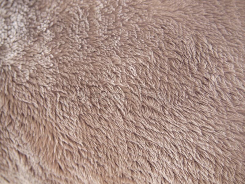 800 Teddy Bear Fur Texture Stock Photos Free & RoyaltyFree Stock