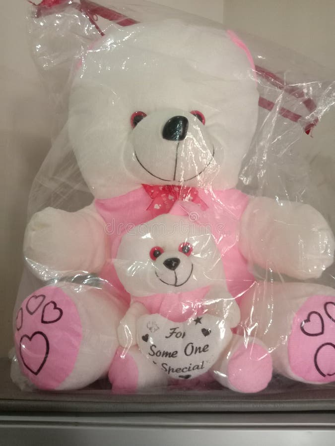 Birthday Treat Teddy Bear
