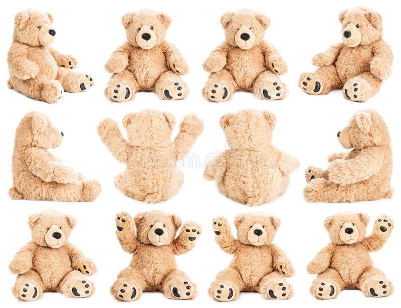 Teddy bear in different positions
