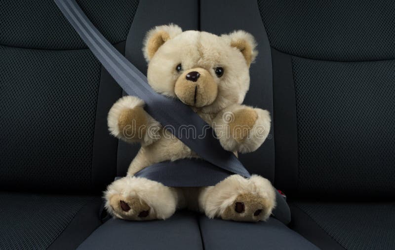 Teddy bear fastened in a car