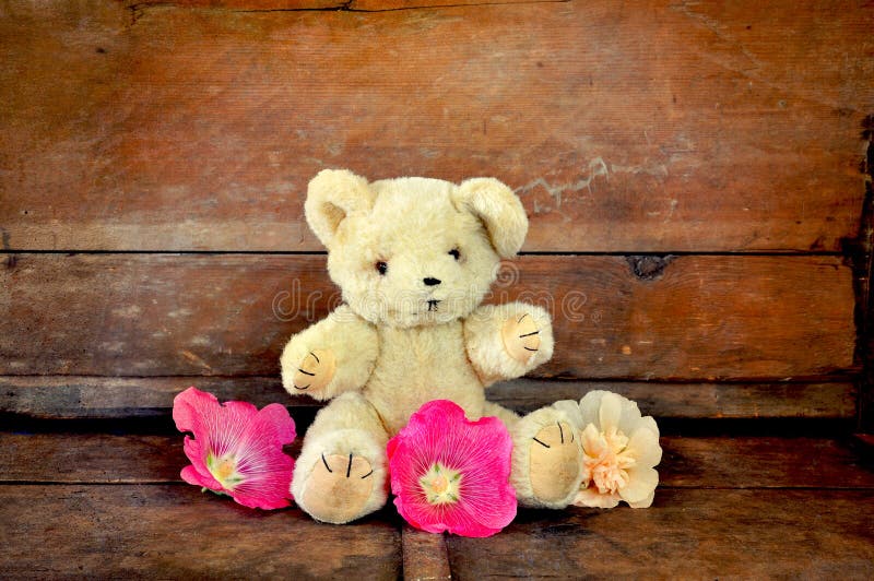 Teddy Bear With Flowers And Card With Lettering Get Well Stock Photo,  Picture and Royalty Free Image. Image 17996305.