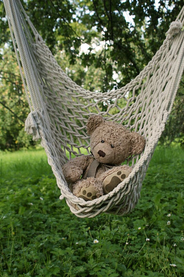 Teddy bear in hammoch