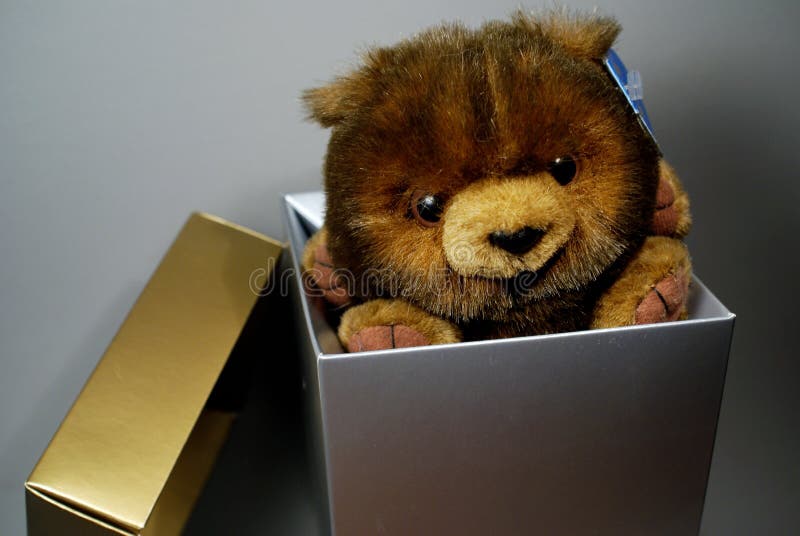 Teddy Bear Inside a Box stock photo. Image of caja, special 2684214
