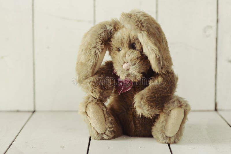 Teddy Bear Like Home Made Bunny Rabbit on Wooden White Background