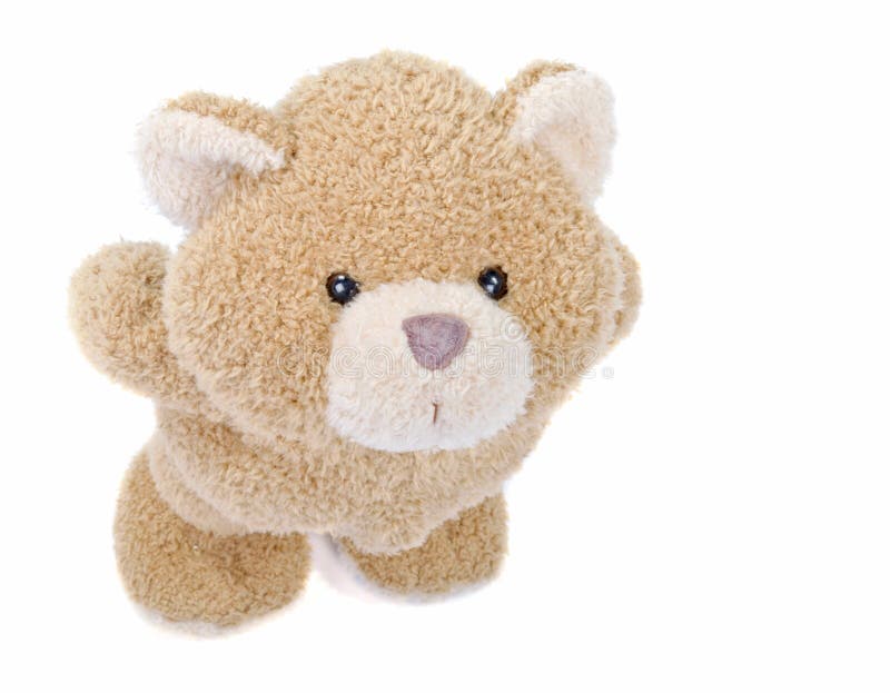 Teddy Bear Looking Up Royalty Free Stock Image - Image  