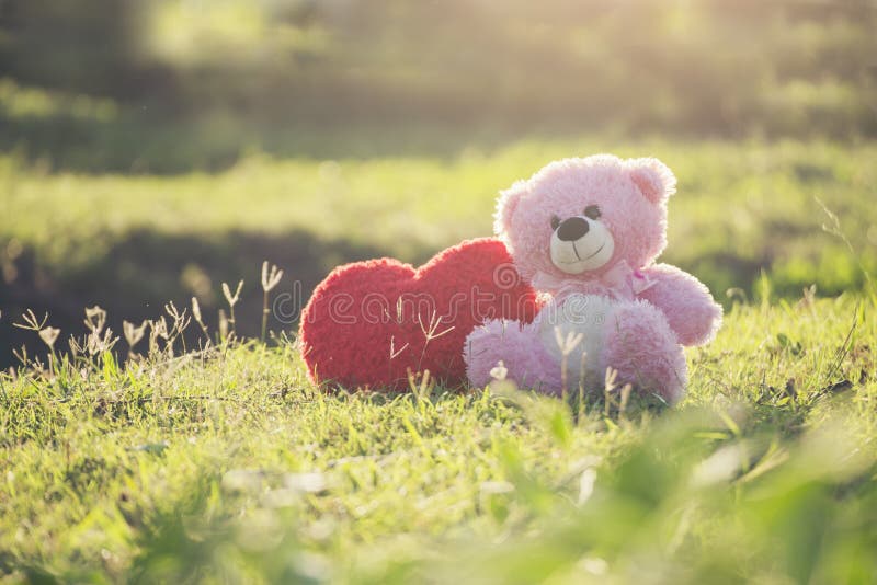 Teddy Bear with Love Red Heart, Toy Sitting on Green Grass with Sunrise  Background. a Red Heart Lovely Pillow on the Side Stock Image - Image of  friendship, childhood: 194036785