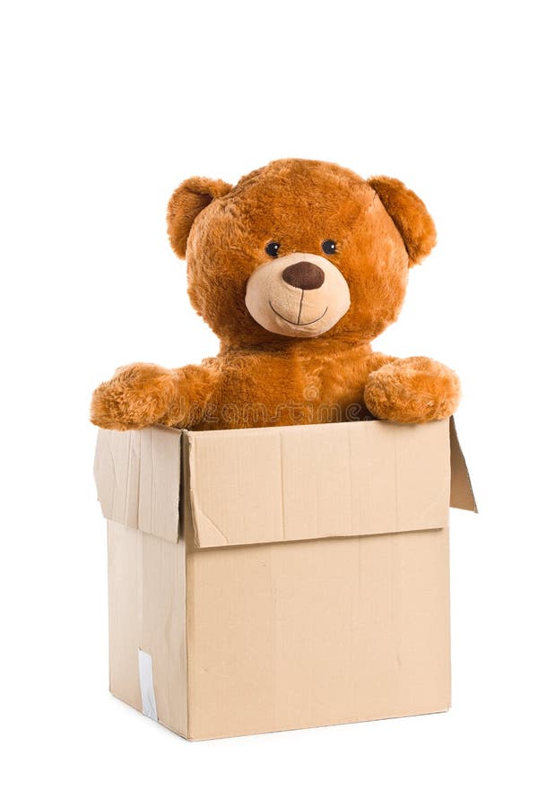 Teddy bear in paper box stock photo. Image of teddy, cuddly 38189534
