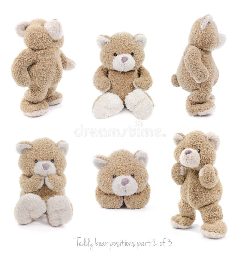Teddybear showing different set of positions. Teddybear showing different set of positions