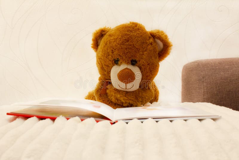 Плюшевый читать. Медведь читает книгу. Плюшевый мишка читает. Мишка читает книгу. Мишка Тедди читает.