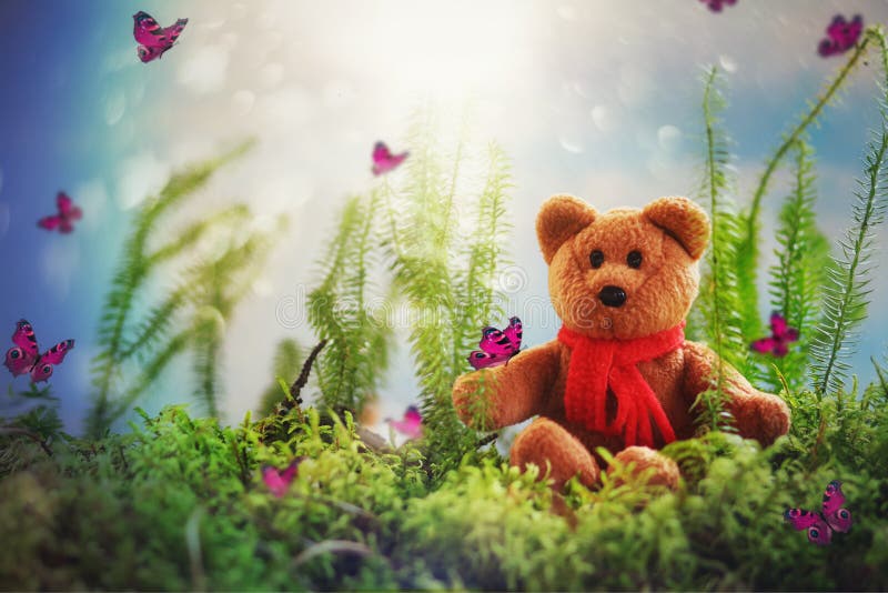 teddy-bear-sitting-fantasy-world-butterfies-moss-152069637.jpg