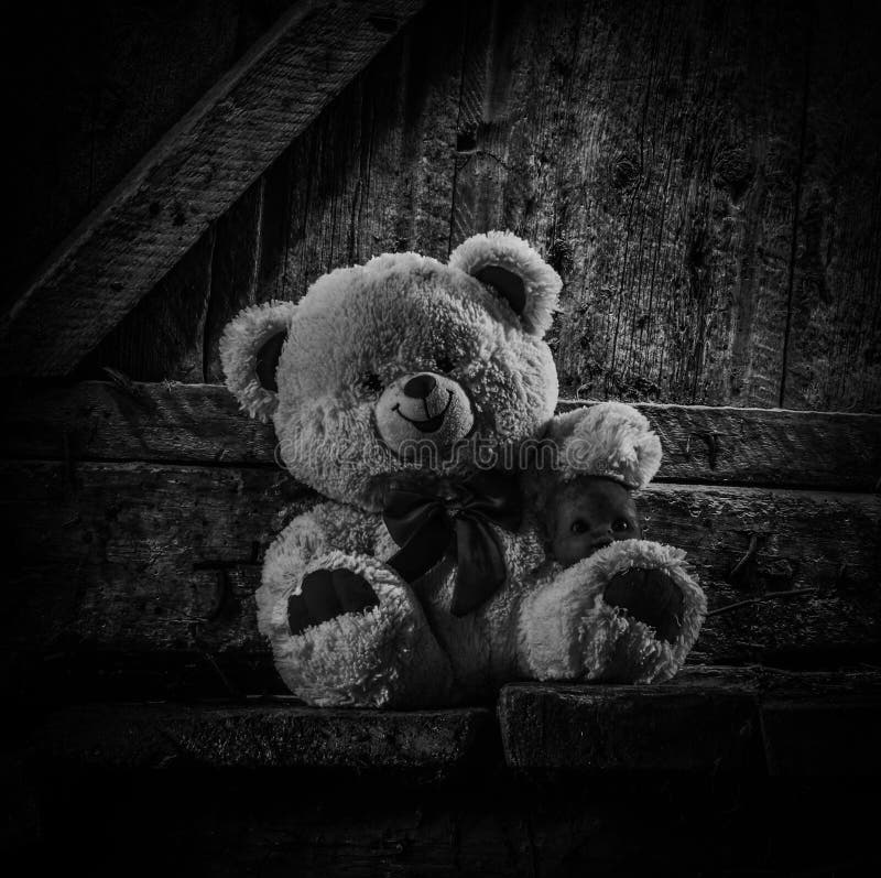 Teddy Bear Sitting in Thrown Shed. Stock Photo - Image of mystery, indoors:  119025700