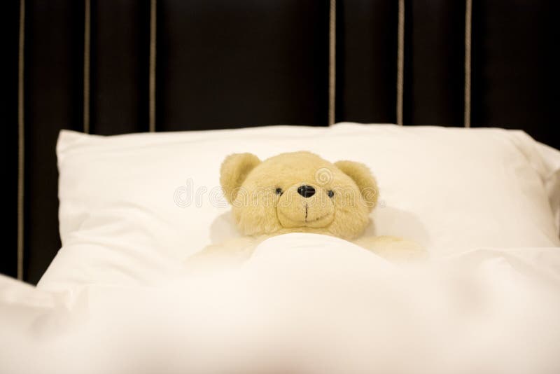 Teddy Bear Sleeping On Bed Stock Photo Image Of Computer 137894590