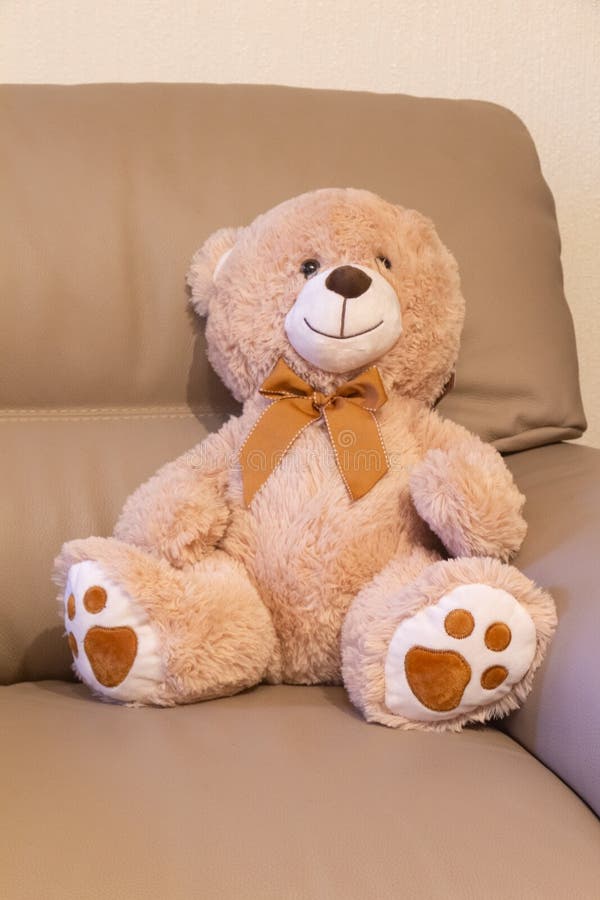 Teddy bear on a sofa stock photo. Image of animal, gift 168974356
