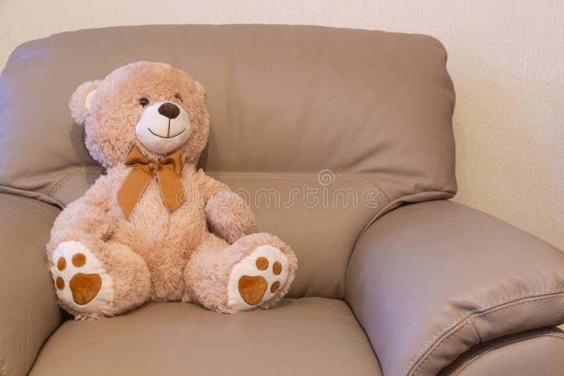 Teddy bear on a sofa stock photo. Image of animal, gift 168974356