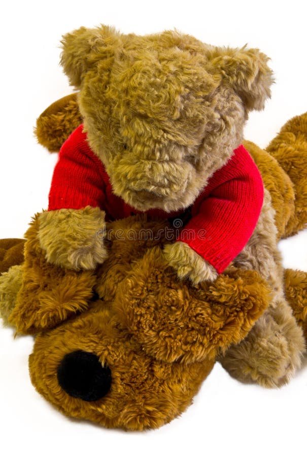 Teddy bear and stuffed dog stock photo. Image of isolated 28567232