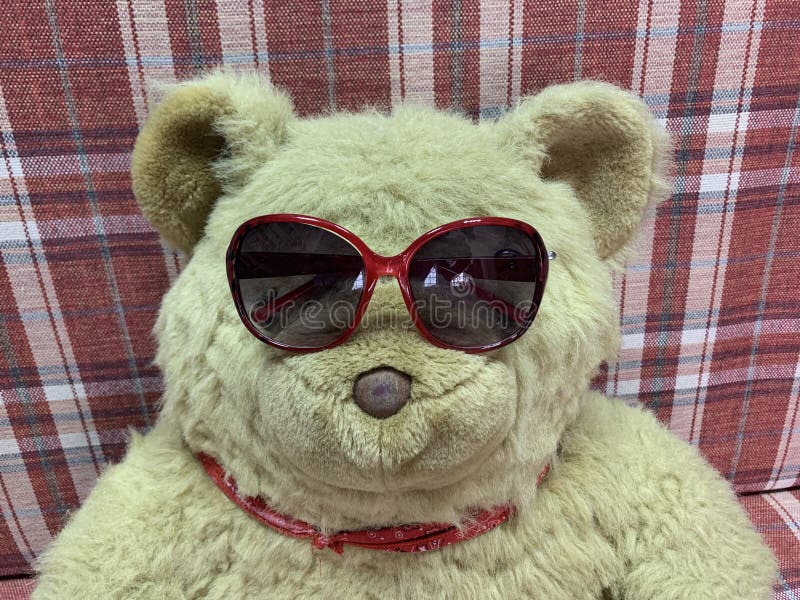 475 Teddy Bear Sunglasses Stock Photos - Free & Royalty-Free Stock Photos  from Dreamstime