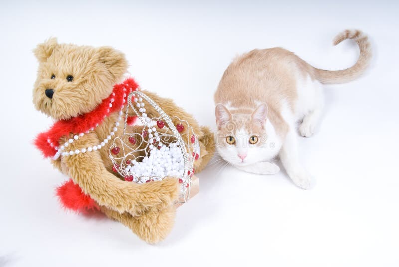 Teddy Bear And Tabby Cat Picture. Image 4143403