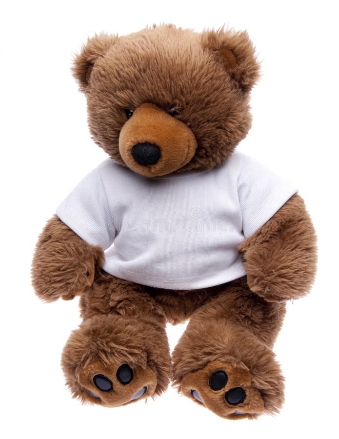 Teddy Bear in a Tee Shirt
