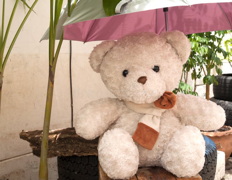 Teddy Bear Umbrella Sun Protection Stock Photos Free & RoyaltyFree
