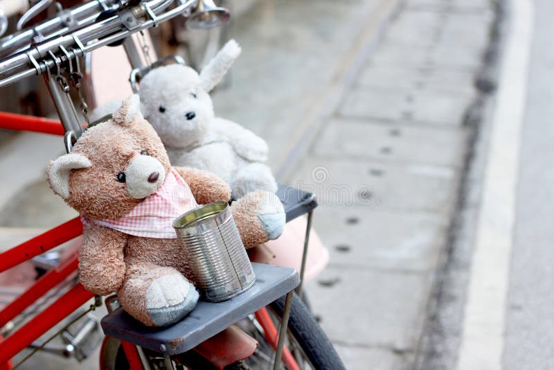 Bear Bike Stock Photos - Download 510 Royalty Free Photos