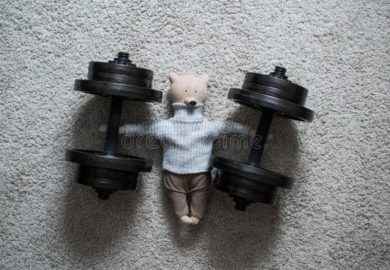Teddy Bear in Weight Training Stock Photo Image of gymnastics, animal 68958654